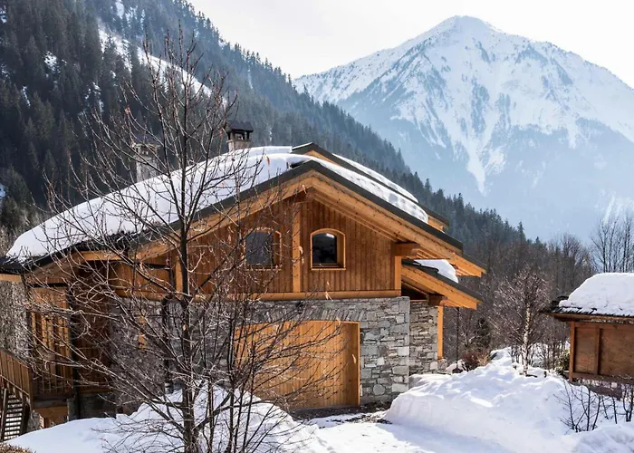 Alideale - Familial De Standing Mae-3283 Alpesi faház La Plagne