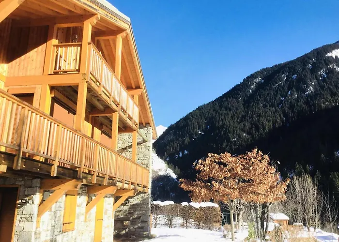 Alideale - Familial De Standing Mae-3283 * La Plagne